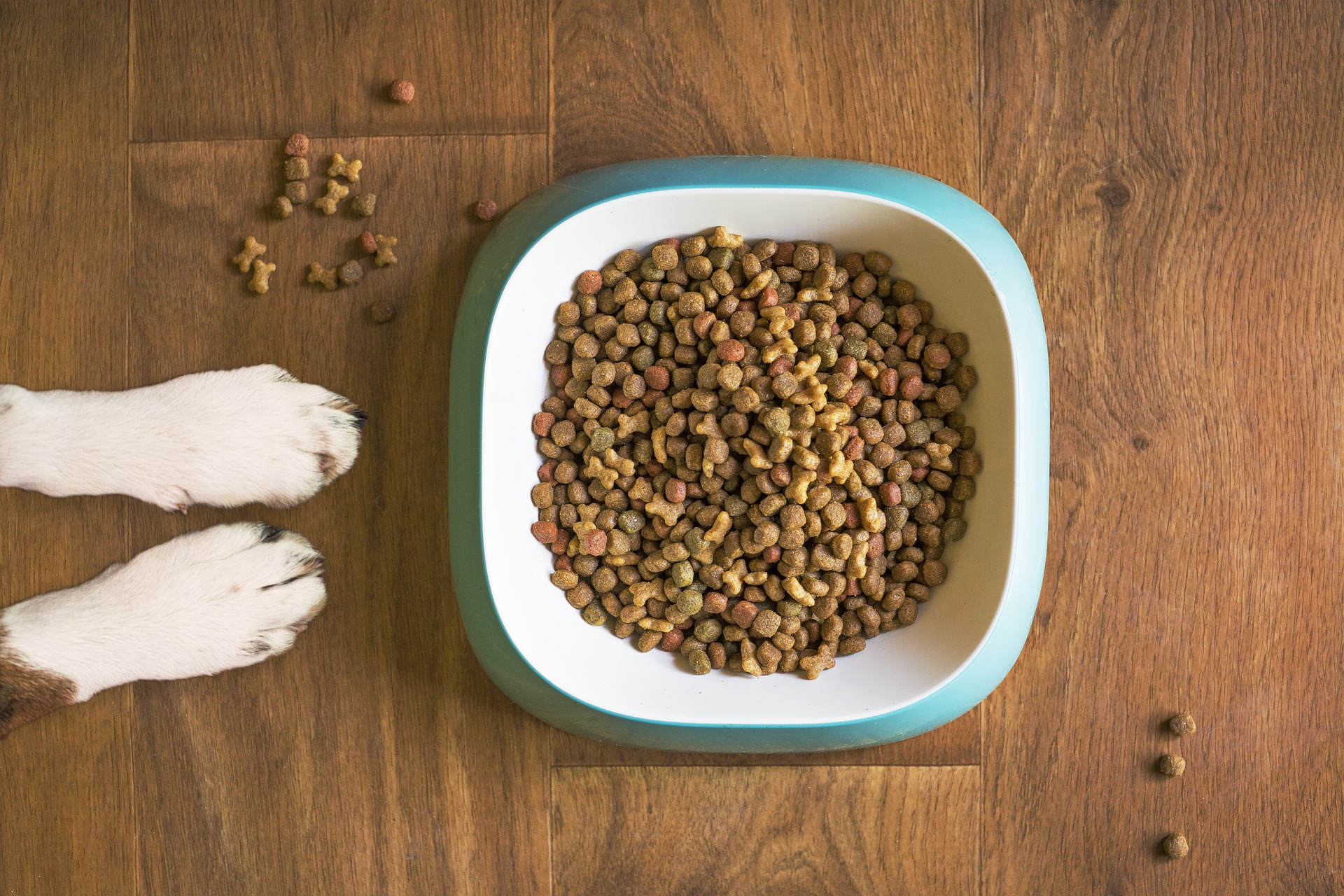 Barking Heads Dog Food Review
