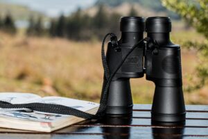 What Are The Best Bird Watching Binoculars Under £100?