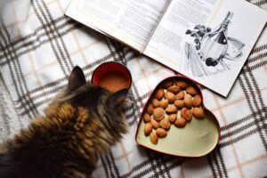 What Are The Most Nutritious Cat Foods?