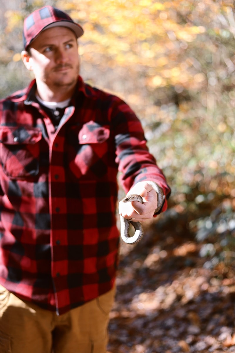 Do Pet Snakes Recognise Their Owners? Barf Pet Foods